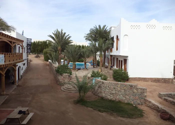 Divers Dahab