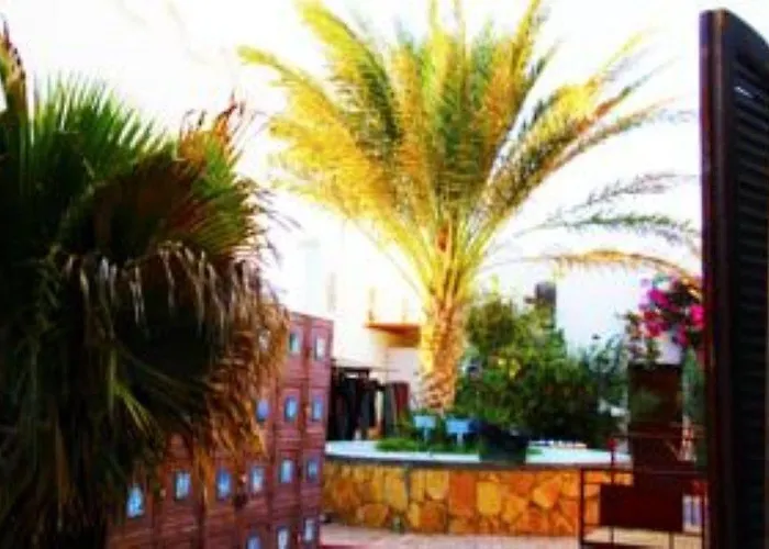 Divers Dahab