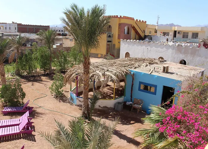 Divers Dahab